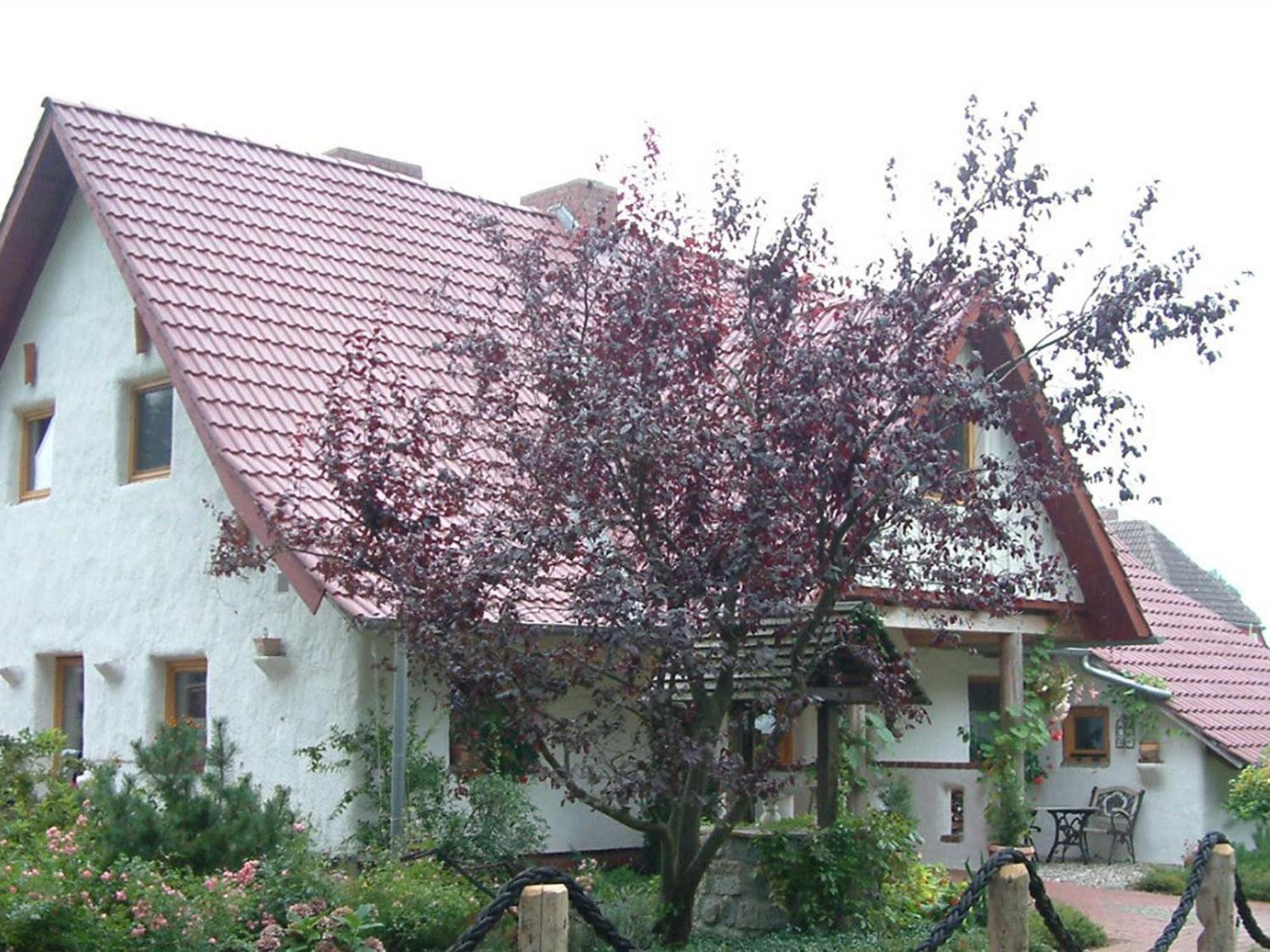 Haus Jasmin Apartment Bodstedt Exterior photo